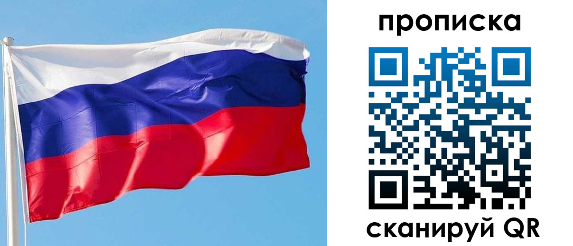 прописка поиск в Егорьевске